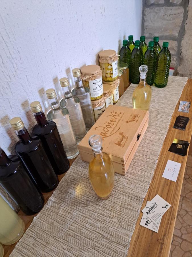 Sobe Anja Pension Brtonigla Buitenkant foto